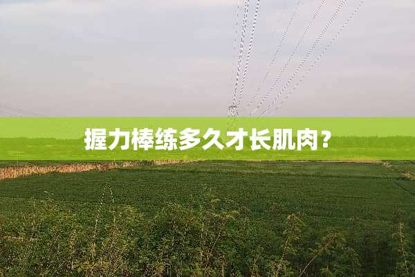 握力棒练多久才长肌肉？