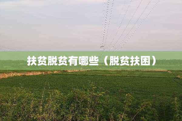 扶贫脱贫有哪些（脱贫扶困）