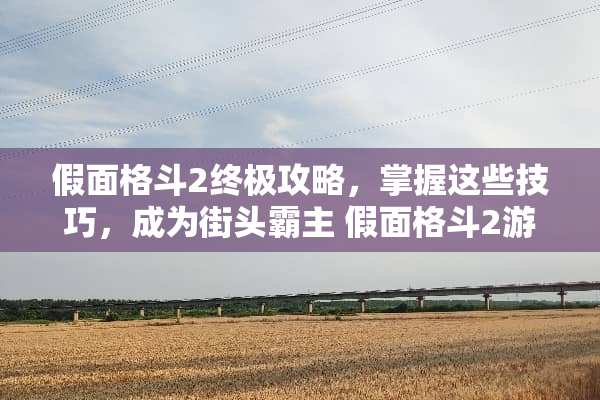 假面格斗2终极攻略，掌握这些技巧，成为街头霸主 假面格斗2游戏攻略