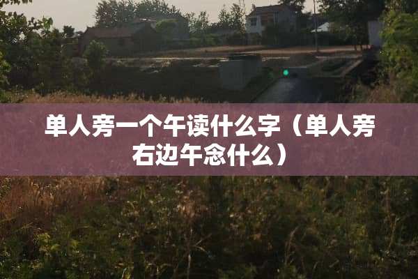 单人旁一个午读什么字（单人旁右边午念什么）