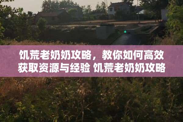 饥荒老奶奶攻略,教你如何高效获取资源与经验 饥荒老奶奶攻略 饥荒老奶奶攻略,教你如何高效获取资源与经验 饥荒老奶奶攻略