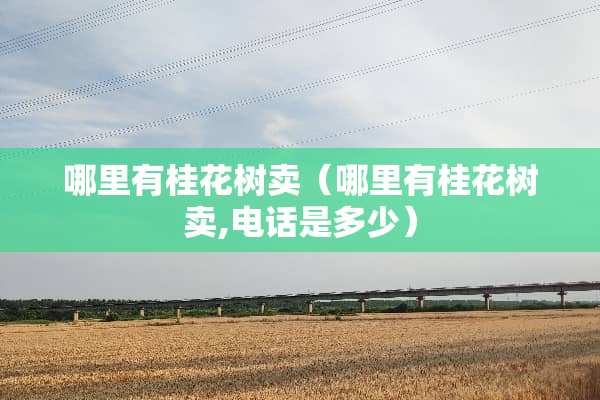 哪里有桂花树卖（哪里有桂花树卖,电话是多少）