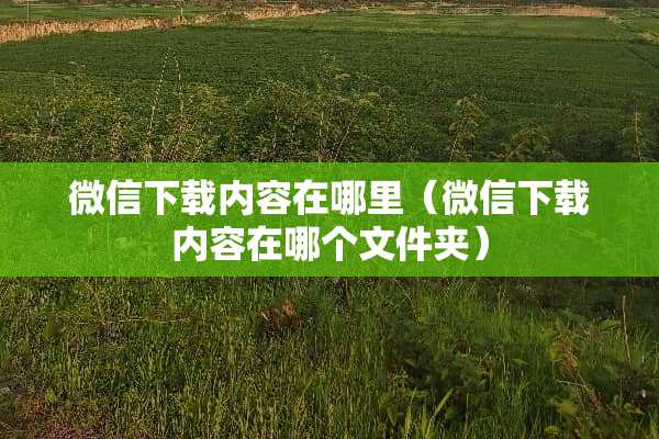 微信下载内容在哪里(微信下载内容在哪个文件夹) 微信下载内容在哪里(微信下载内容在哪个文件夹)