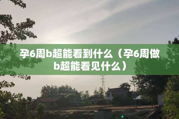 孕6周b超能看到什么(孕6周做b超能看见什么) 孕6周b超能看到什么(孕6周做b超能看见什么)