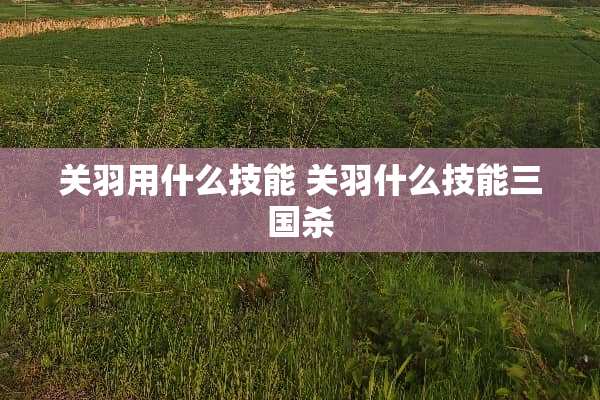 关羽用什么技能 关羽什么技能三国杀 关羽用什么技能 关羽什么技能三国杀