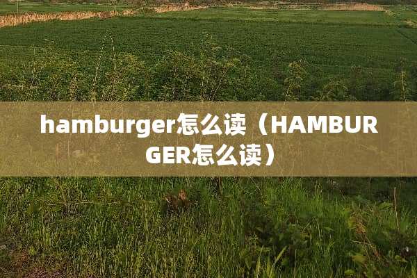 hamburger怎么读(HAMBURGER怎么读) hamburger怎么读(HAMBURGER怎么读)