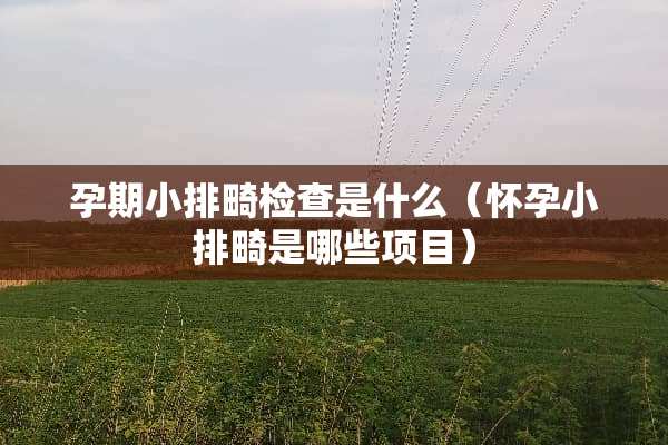 孕期小排畸检查是什么(怀孕小排畸是哪些项目) 孕期小排畸检查是什么(怀孕小排畸是哪些项目)