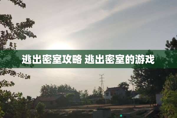 逃出密室攻略 逃出密室的游戏