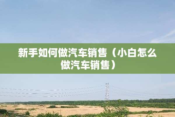 新手如何做汽车销售(小白怎么做汽车销售) 新手如何做汽车销售(小白怎么做汽车销售)