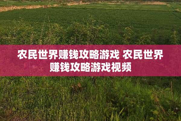农民世界赚钱攻略游戏 农民世界赚钱攻略游戏视频