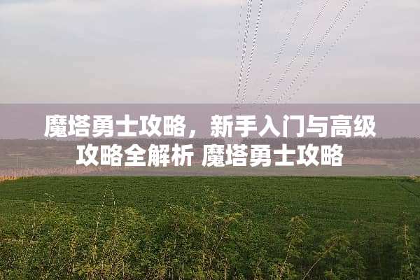 魔塔勇士攻略，新手入门与高级攻略全解析 魔塔勇士攻略