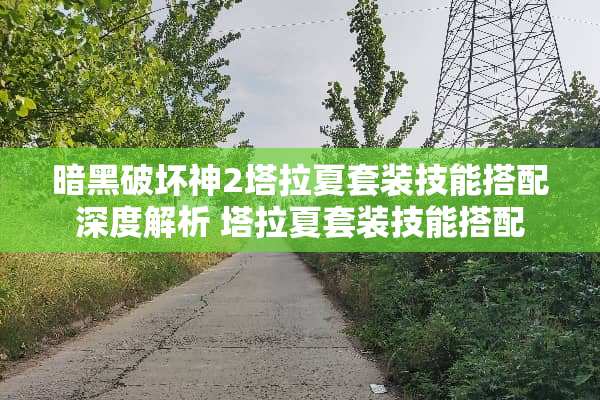 暗黑破坏神2塔拉夏套装技能搭配深度解析 塔拉夏套装技能搭配 暗黑破坏神2塔拉夏套装技能搭配深度解析 塔拉夏套装技能搭配