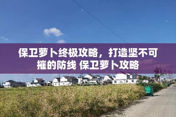 保卫萝卜终极攻略，打造坚不可摧的防线 保卫萝卜攻略