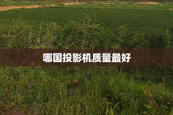 哪国投影机质量最好