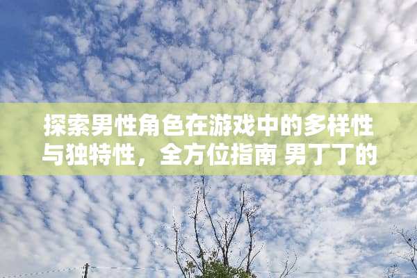 探索男性角色在游戏中的多样性与独特性,全方位指南 男丁丁的各种玩法图解 探索男性角色在游戏中的多样性与独特性,全方位指南 男丁丁的各种玩法图解