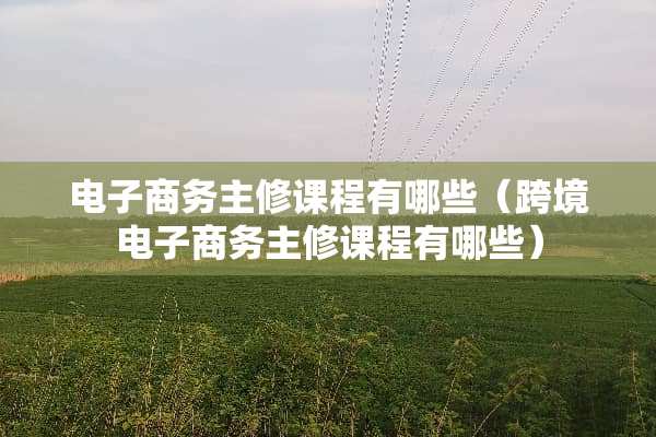 电子商务主修课程有哪些(跨境电子商务主修课程有哪些) 电子商务主修课程有哪些(跨境电子商务主修课程有哪些)