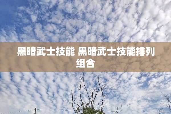 黑暗武士技能 黑暗武士技能排列组合