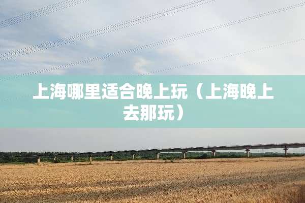 上海哪里适合晚上玩(上海晚上去那玩)