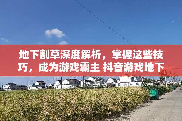 **割草深度解析，掌握这些技巧，成为游戏霸主 抖音游戏**割草攻略