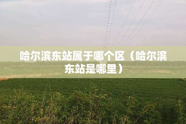 哈尔滨东站属于哪个区（哈尔滨东站是哪里）