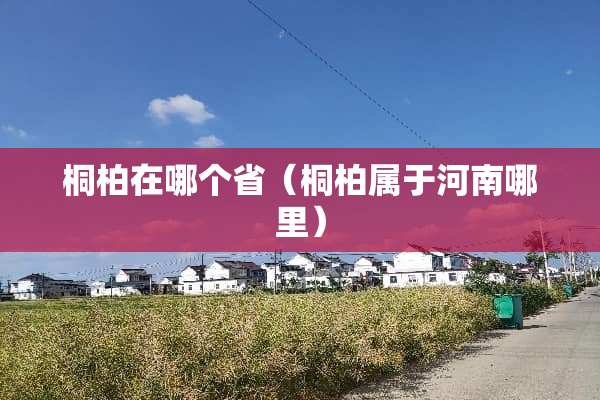 桐柏在哪个省(桐柏属于河南哪里) 桐柏在哪个省(桐柏属于河南哪里)