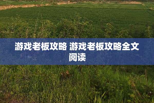游戏老板攻略 游戏老板攻略全文阅读 游戏老板攻略 游戏老板攻略全文阅读