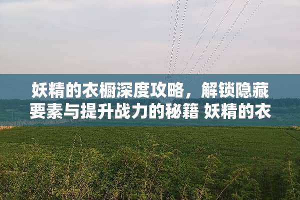 妖精的衣橱深度攻略，解锁隐藏要素与提升战力的秘籍 妖精的衣橱攻略