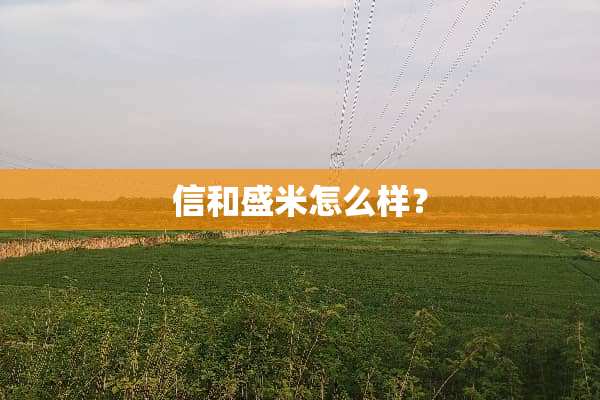 信和盛米怎么样？