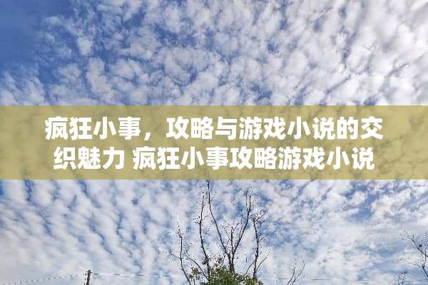 疯狂小事，攻略与游戏小说的交织魅力 疯狂小事攻略游戏小说
