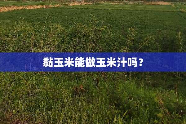 黏玉米能做玉米汁吗？