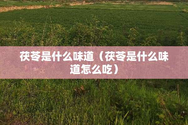 茯苓是什么味道（茯苓是什么味道怎么吃）