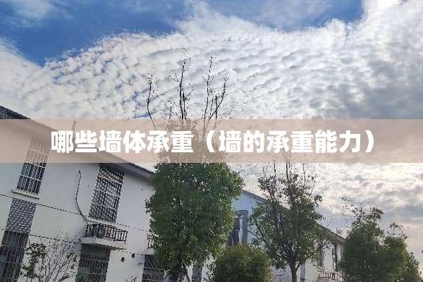 哪些墙体承重（墙的承重能力）