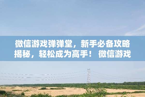 微信游戏弹弹堂，新手必备攻略揭秘，轻松成为高手！ 微信游戏弹弹堂攻略