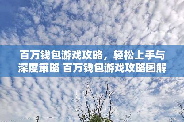 百万钱包游戏攻略，轻松上手与深度策略 百万钱包游戏攻略图解