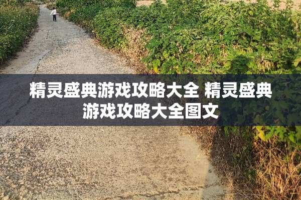 精灵盛典游戏攻略大全 精灵盛典游戏攻略大全图文