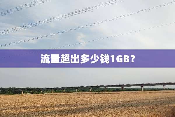 流量超出多少钱1GB？