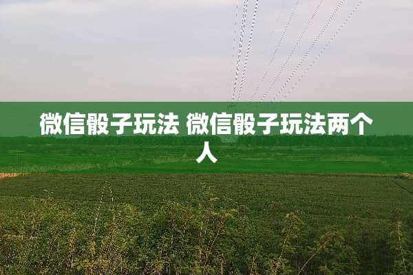 微信**玩法 微信**玩法两个人