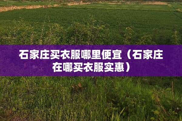 石家庄买衣服哪里便宜(石家庄在哪买衣服实惠) 石家庄买衣服哪里便宜(石家庄在哪买衣服实惠)