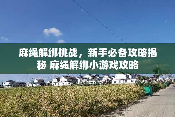 麻绳解绑挑战,新手必备攻略揭秘 麻绳解绑小游戏攻略 麻绳解绑挑战,新手必备攻略揭秘 麻绳解绑小游戏攻略