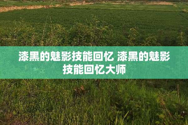 漆黑的魅影技能回忆 漆黑的魅影技能回忆大师 漆黑的魅影技能回忆 漆黑的魅影技能回忆大师