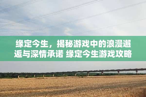 缘定今生,揭秘游戏中的浪漫邂逅与深情承诺 缘定今生游戏攻略 缘定今生,揭秘游戏中的浪漫邂逅与深情承诺 缘定今生游戏攻略