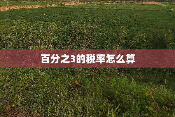 百分之3的税率怎么算