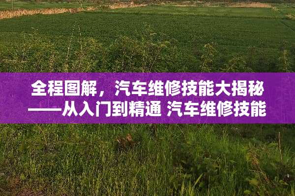 全程图解,汽车维修技能大揭秘——从入门到精通 汽车维修技能全程图解 全程图解,汽车维修技能大揭秘——从入门到精通 汽车维修技能全程图解