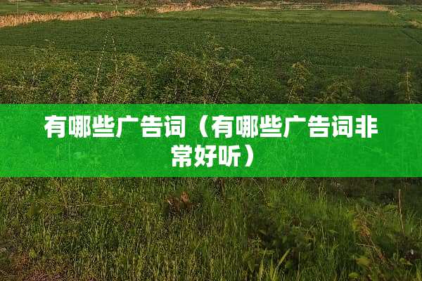 有哪些广告词（有哪些广告词非常好听）