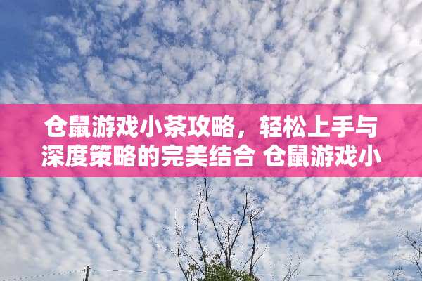 仓鼠游戏小茶攻略,轻松上手与深度策略的完美结合 仓鼠游戏小茶攻略攻略