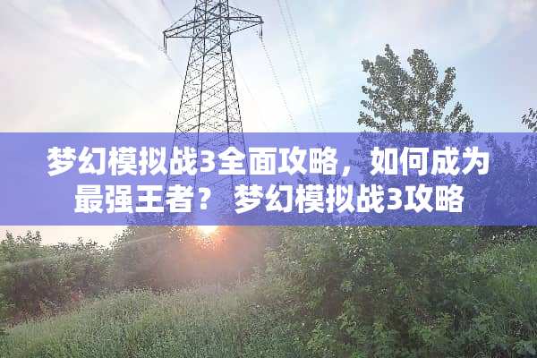 梦幻模拟战3全面攻略,如何成为最强王者? 梦幻模拟战3攻略 梦幻模拟战3全面攻略,如何成为最强王者? 梦幻模拟战3攻略