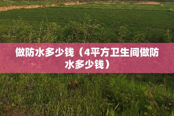 做防水多少钱(4平方卫生间做防水多少钱) 做防水多少钱(4平方卫生间做防水多少钱)