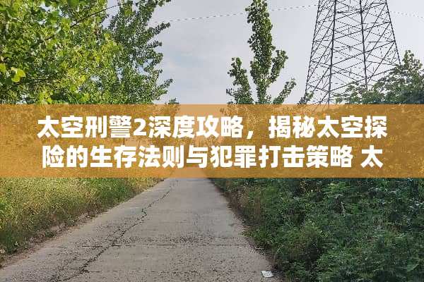 太空**2深度攻略，揭秘太空探险的生存法则与犯罪打击策略 太空**2攻略