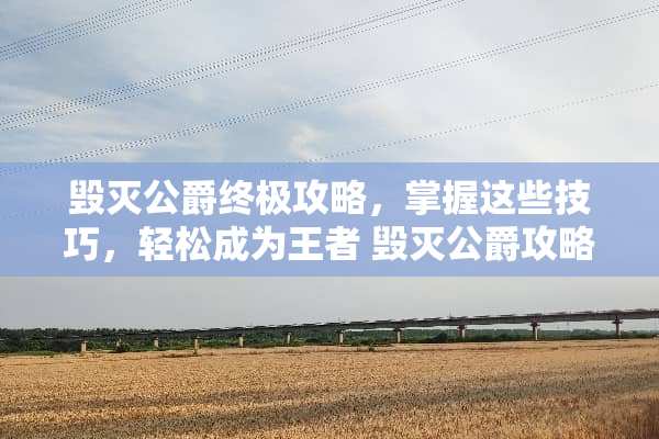 毁灭公爵终极攻略，掌握这些技巧，轻松成为王者 毁灭公爵攻略