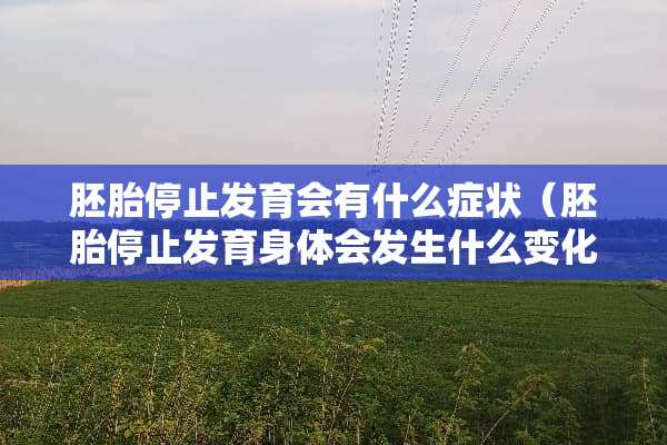 胚胎停止发育会有什么症状(胚胎停止发育身体会发生什么变化) 胚胎停止发育会有什么症状(胚胎停止发育身体会发生什么变化)